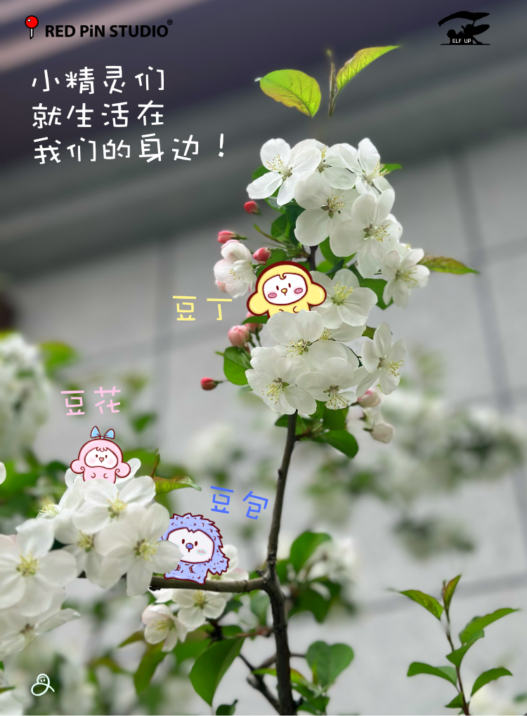 【抱瓜少女】✖️【精灵不会飞】初代甜品系列 14